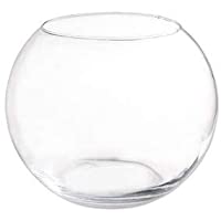 Pecera Cristal (25cm)